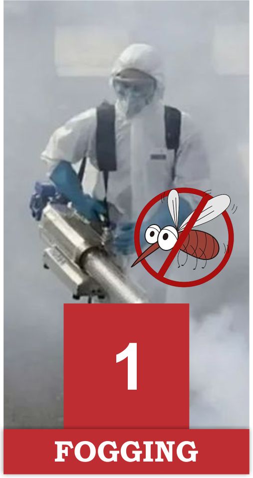 Fumigasi 1