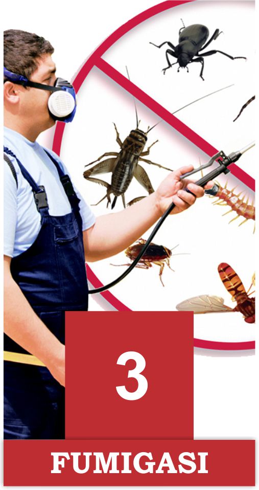 Fumigasi 3