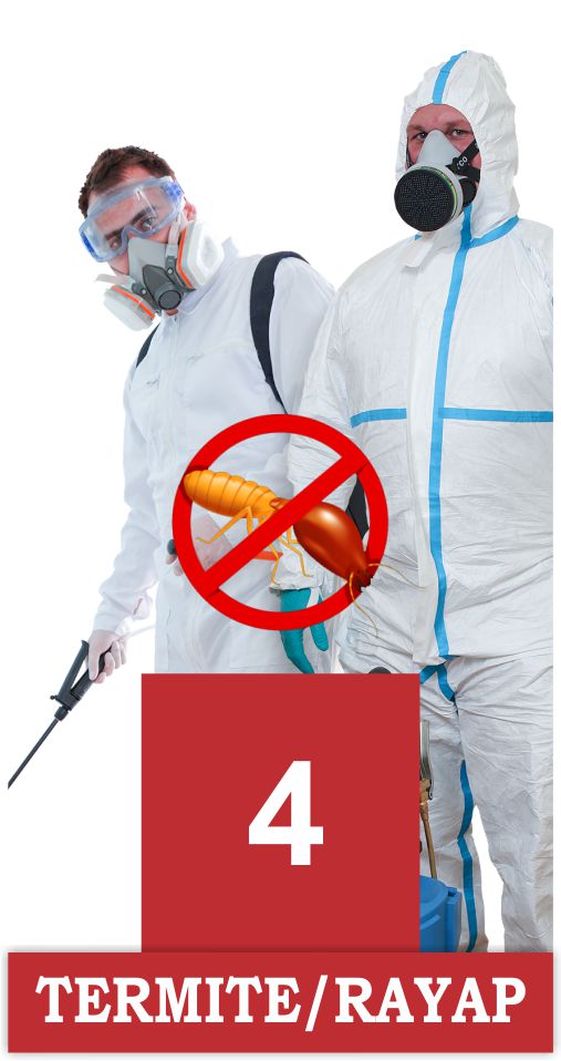 Fumigasi 4